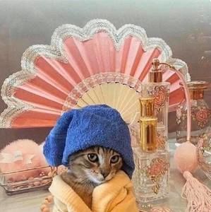 Meet your Posher, Mae